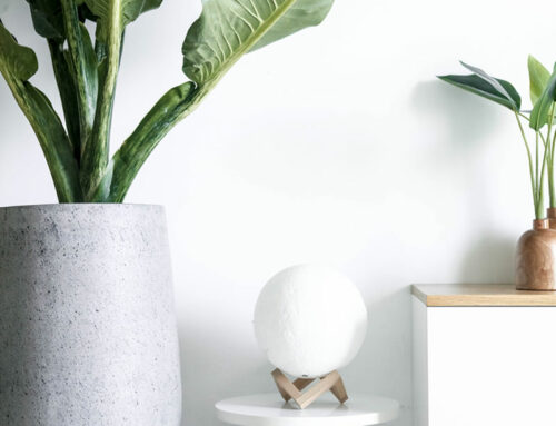 Design-Nation Publishes ’20 Makers, 20 Objects’